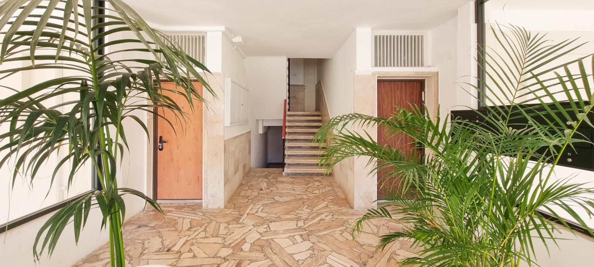 Bnb Israel Apartments - Harav Kook Lilas 텔아비브 외부 사진